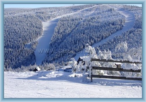 Forrás: ceskenory.cz