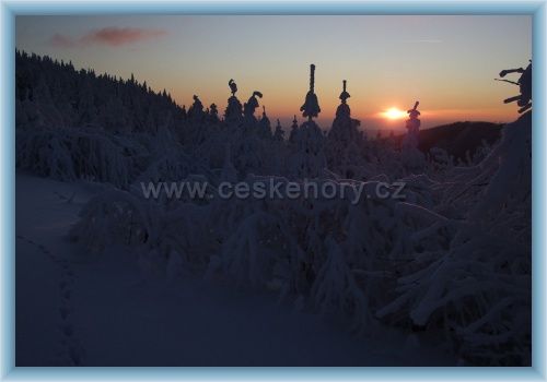 Forrás: ceskenory.cz