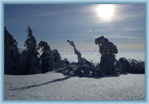 Forrás: ceskenory.cz