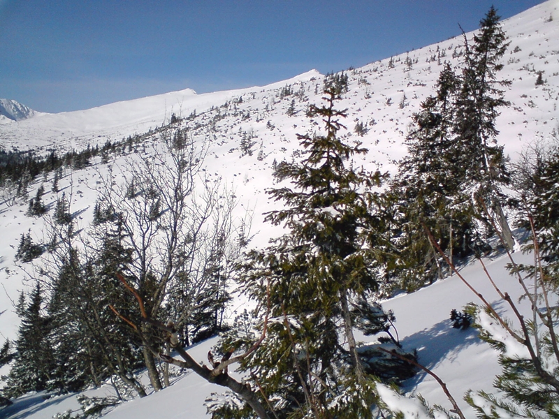 Gyömbér-gerinc, Ny felé