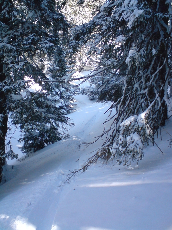 Gyömbér-gerinc, katlan