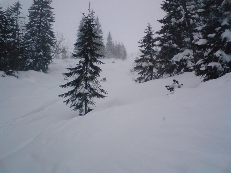 Hosszú tisztás a nagy katlan felé