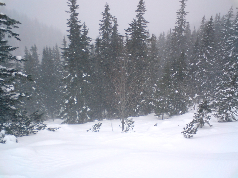 Hosszú tisztás a nagy katlan felé