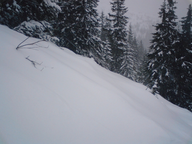 Hosszú tisztás a nagy katlan felé