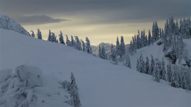 P1000694.JPG