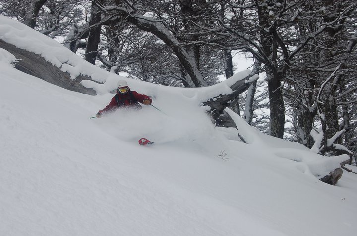Tree Skiing Barilochében (Argentína) - Fotó: Tetongravity
