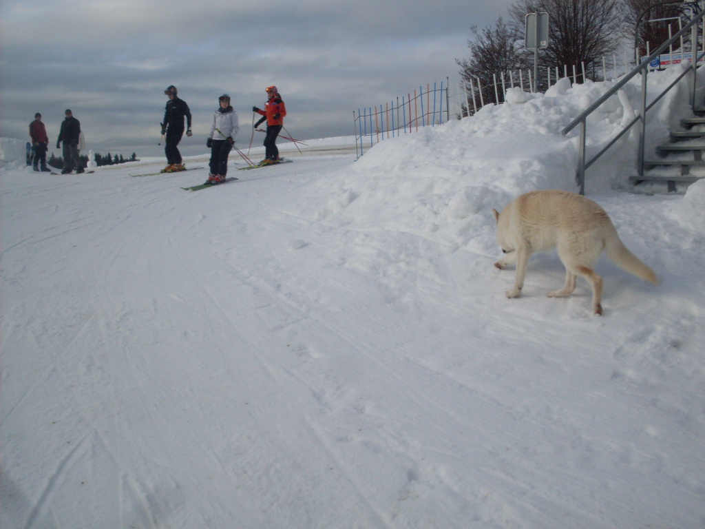 Donovaly-2011-12-13-018.jpg