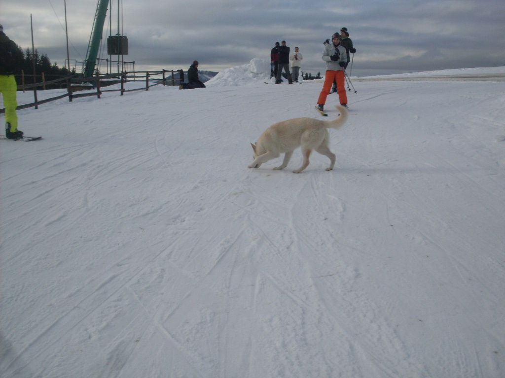 Donovaly-2011-12-13-019.jpg