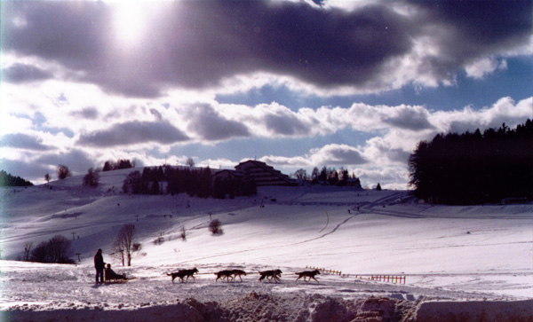 Fotó: Bereczki Zoltán