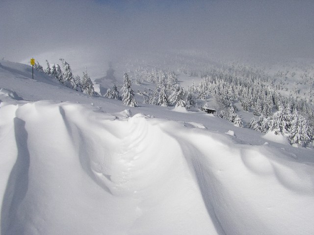 fotó: Hernádi László