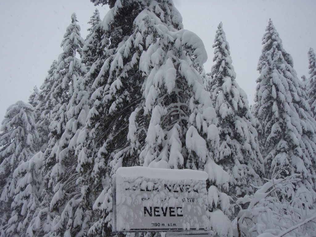 SELLA NEVEA tuti hóbiztos !