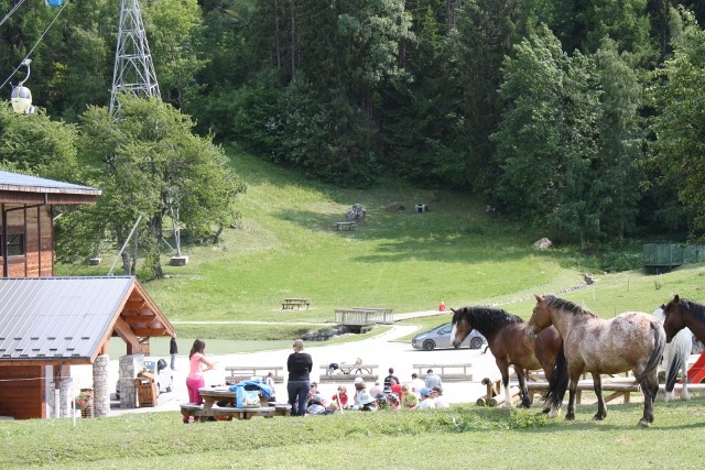 Le Foret Courchevel-La Tania