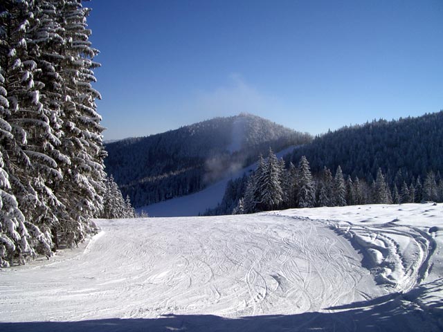 forsteralm001.jpg