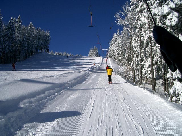 forsteralm002.jpg