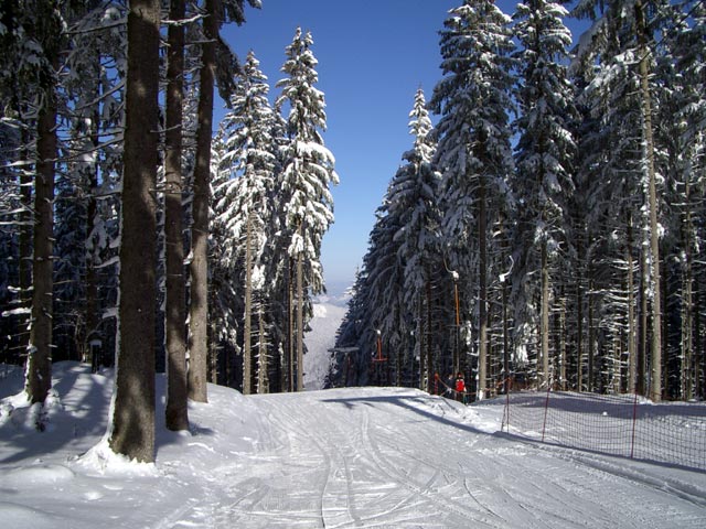 forsteralm003.jpg