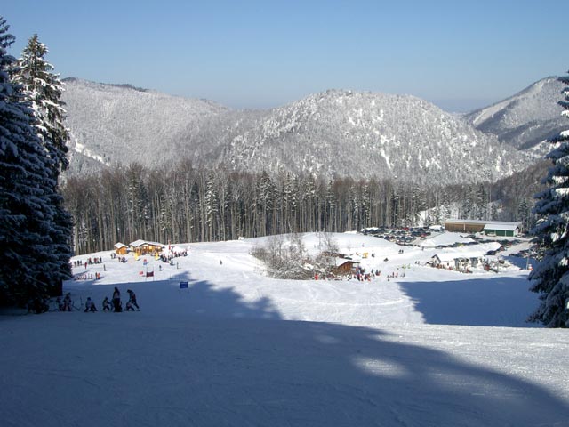 forsteralm006.jpg