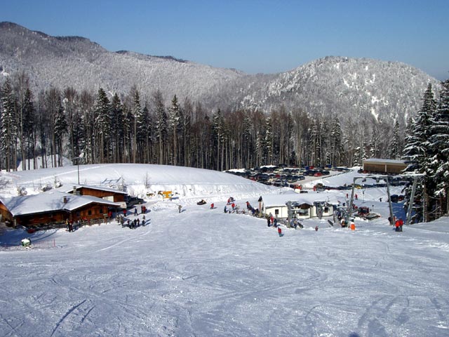 forsteralm008.jpg