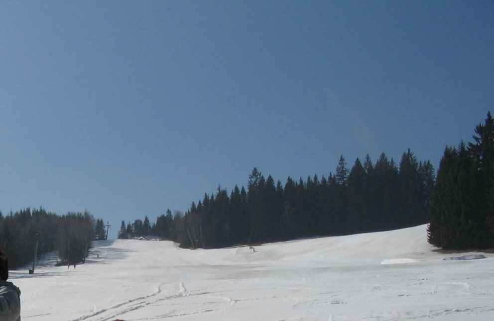 20110314WenigzellE.jpg