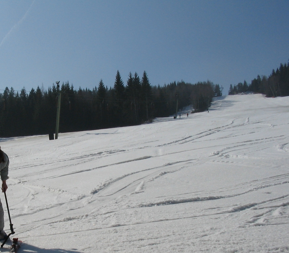 20110314WenigzellF.jpg