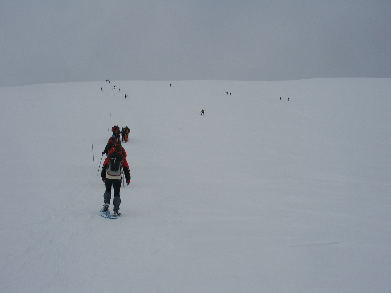Sielős-snowboardos élet a Gyömbér lejtőjén. 