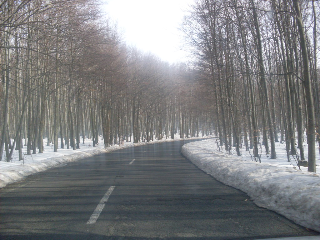 SDC14231.JPG