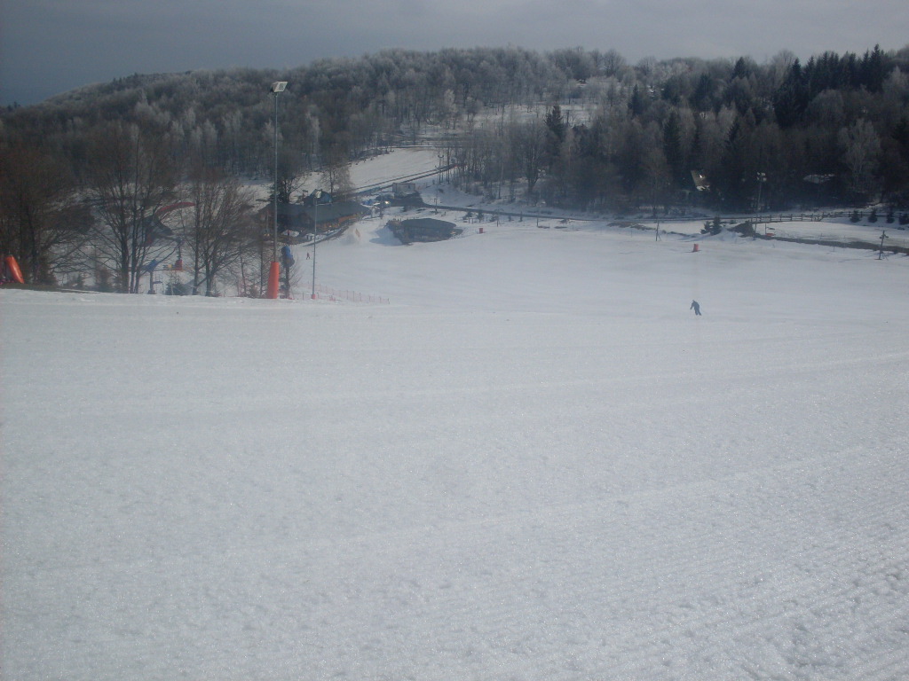 SDC14234.JPG