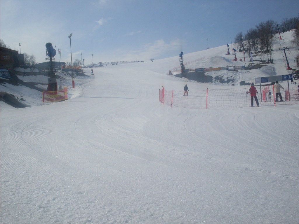 SDC14237.JPG