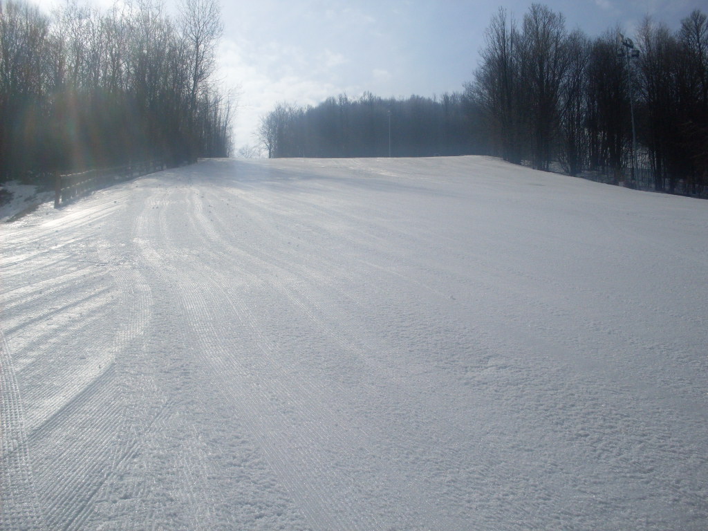 SDC14239.JPG