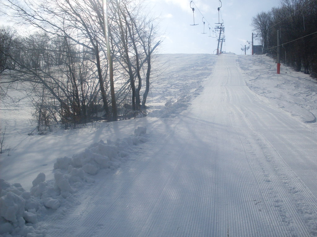 SDC14244.JPG