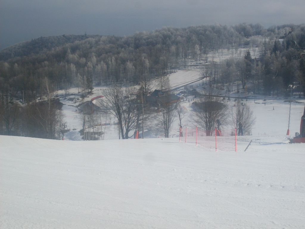 SDC14250.JPG