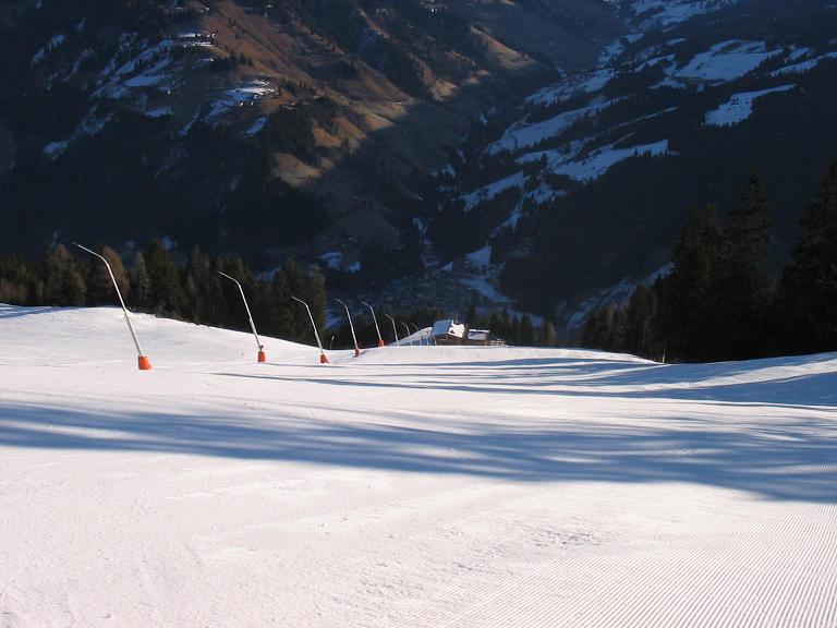 IMG-6164-1.JPG
