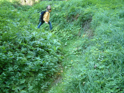 DSCF0420.jpg