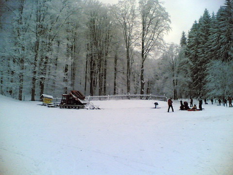 2007-11-17-bankut-3.jpg