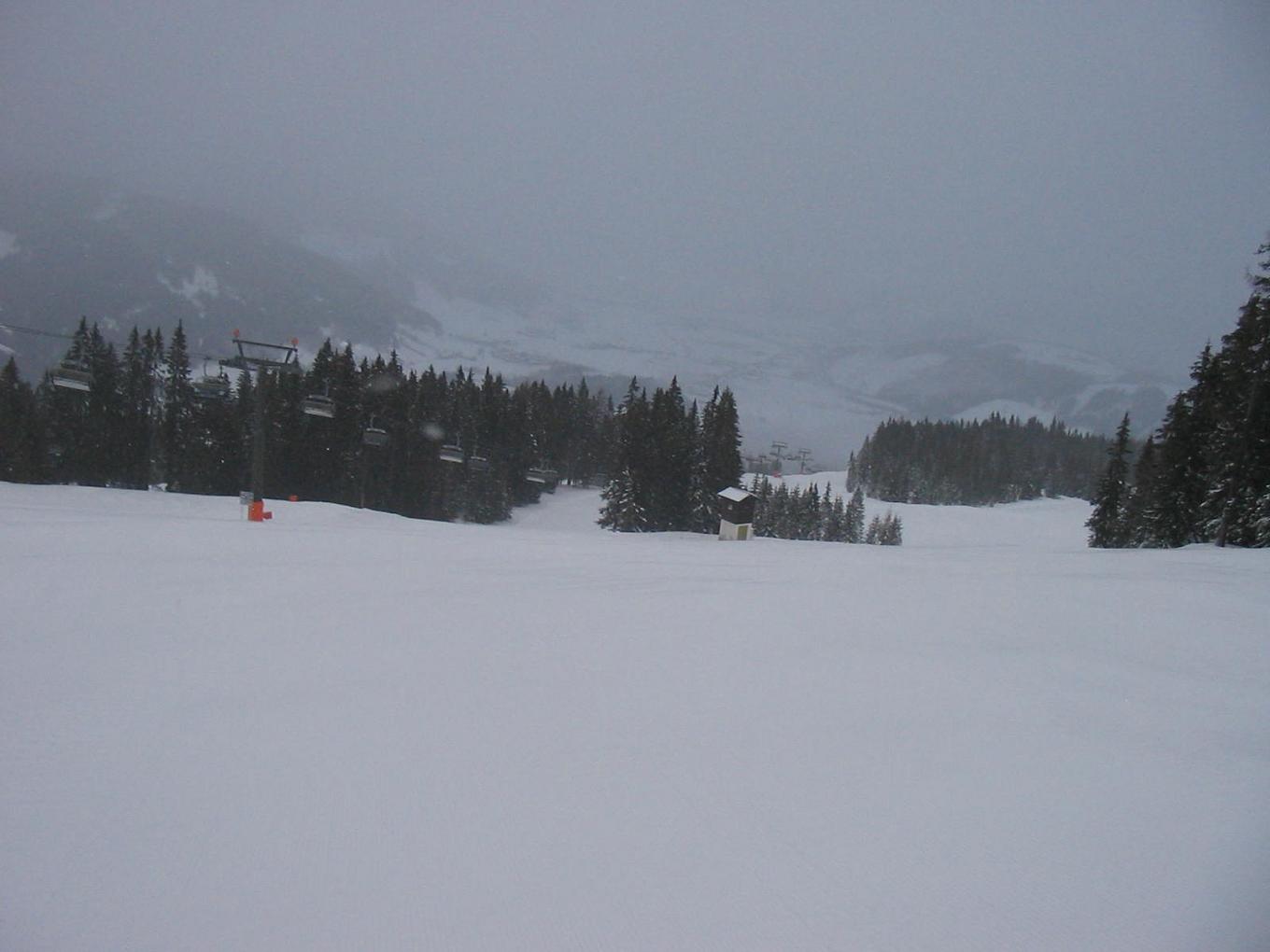 IMG-7954-1.JPG