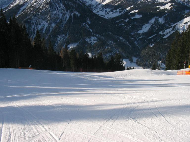 IMG-8000-1.JPG