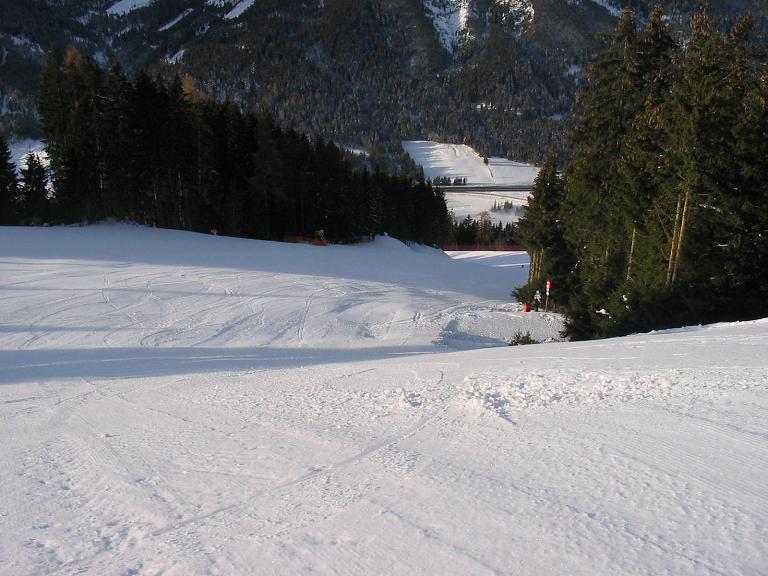 IMG-8003-1.JPG