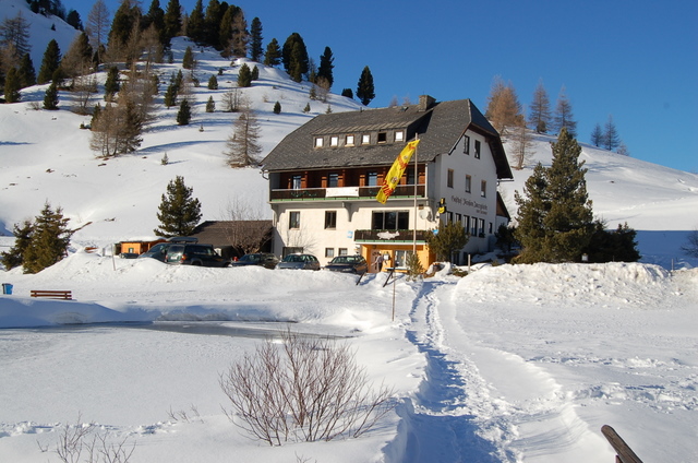 DSC-5878.JPG