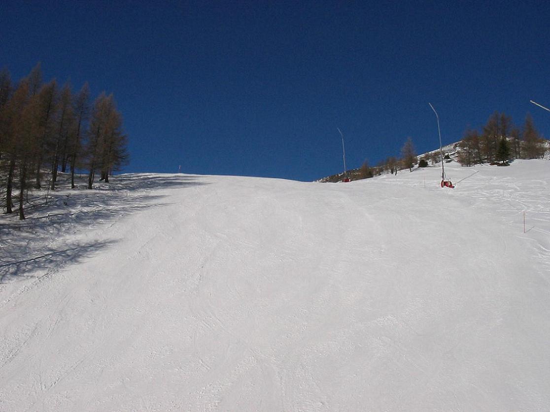 IMG-1196.JPG
