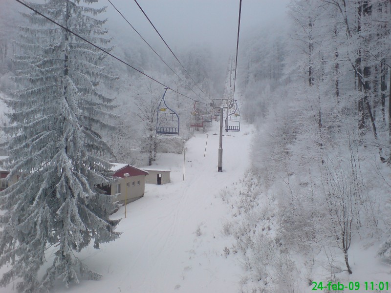 DSC00636.JPG