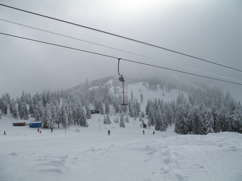 IMG-4142.JPG