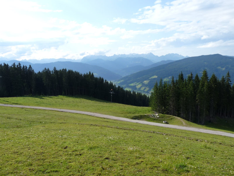 P1000793.JPG