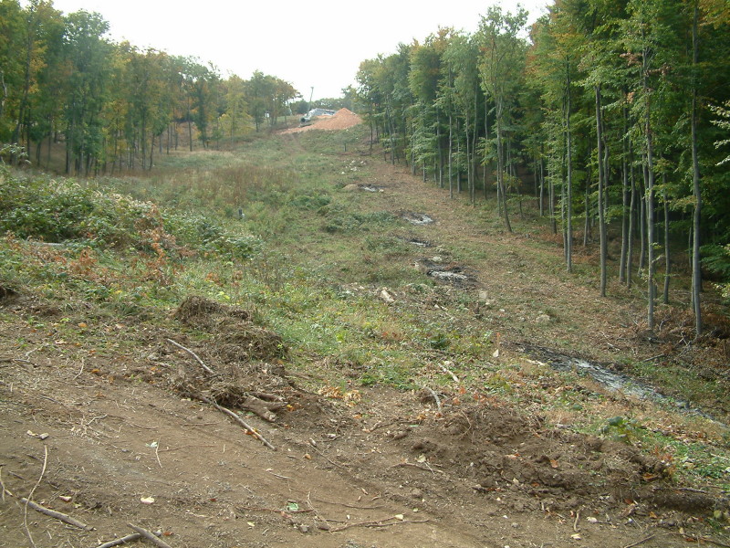 DSCF0948.jpg
