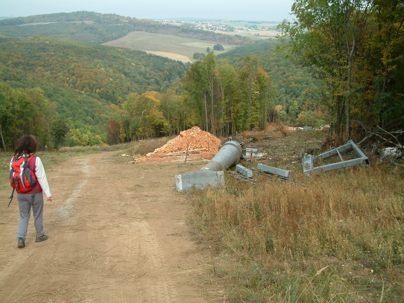 DSCF0956.jpg
