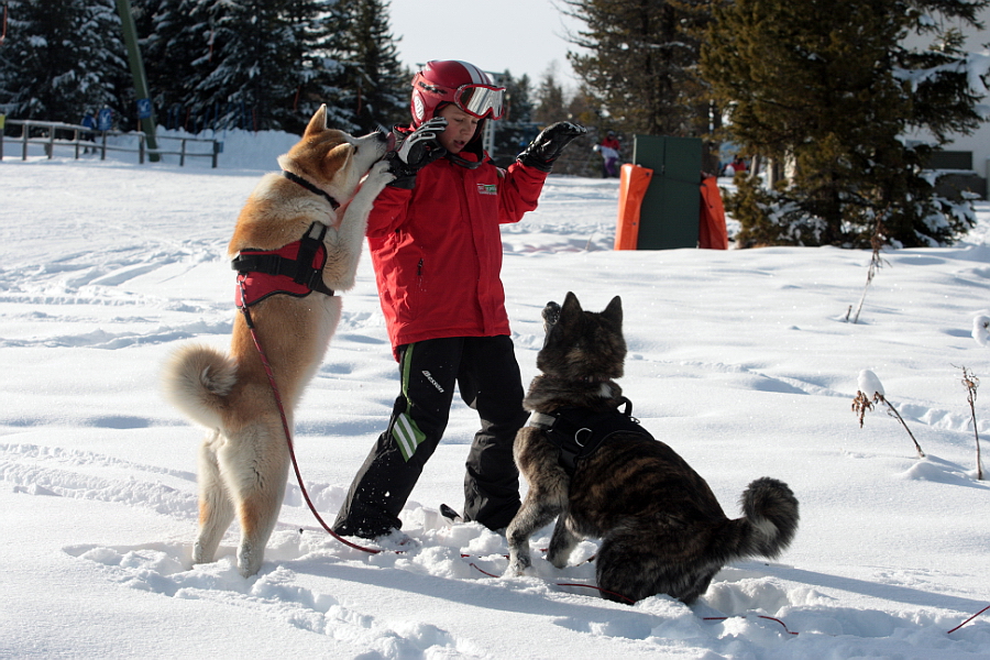 Fotó: Szőllős Péter