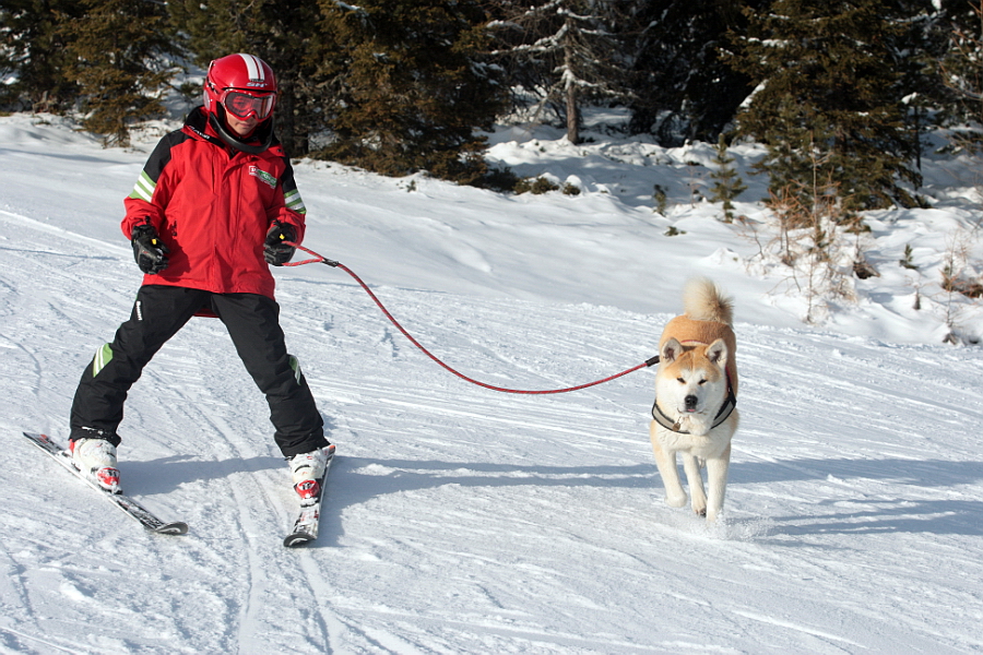 Fotó: Szőllős Péter