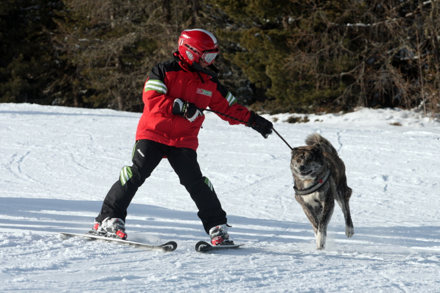 Fotó: Szőllős Péter
