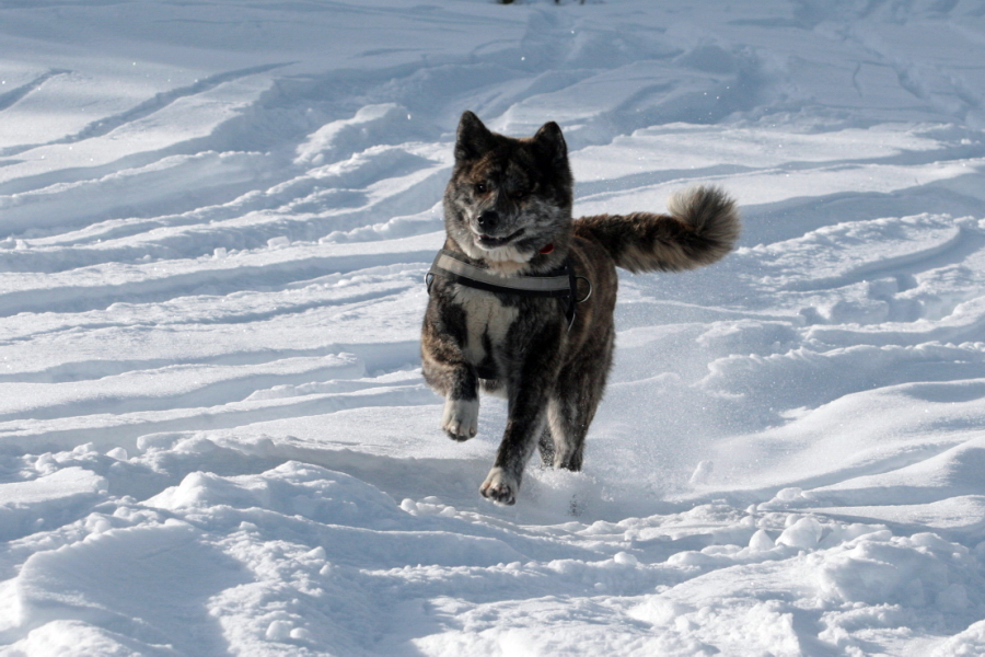 Fotó: Szőllős Péter