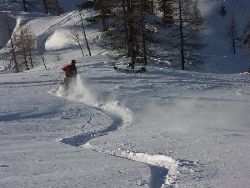A fák között igazi minőségi porhó fogad bennünket