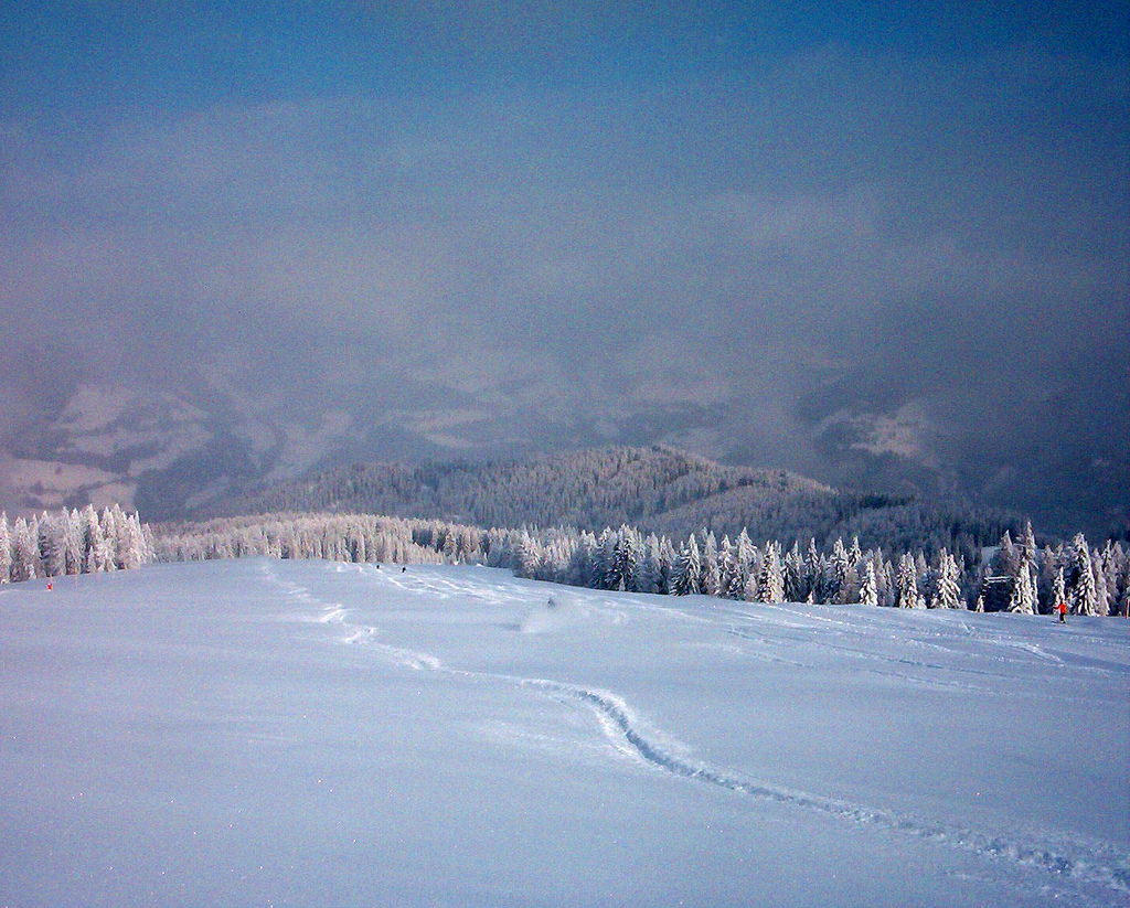 A korán kelők jutalma