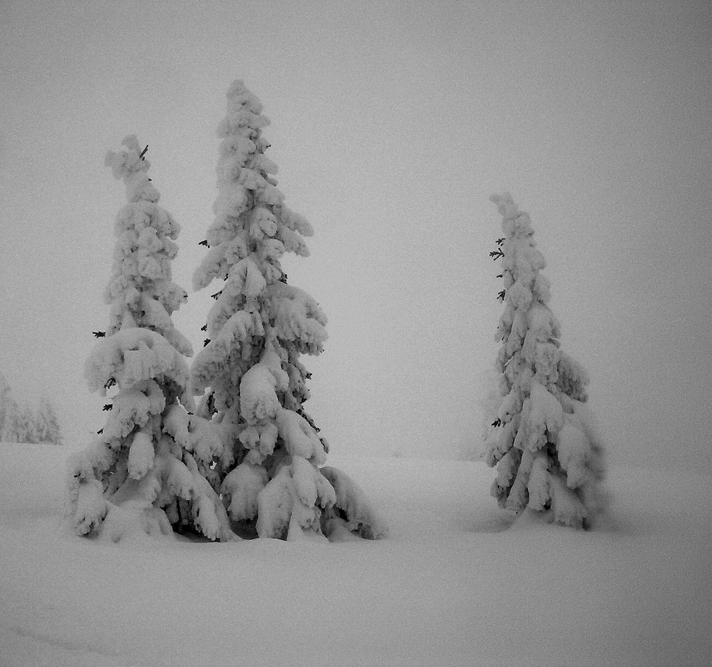 Egy álmos délután a hegyekben